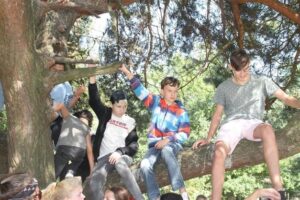 img 0667