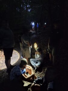 img 20260817 wa0147
